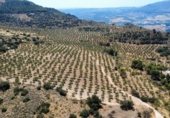 Manor house with land for sale on Camino de Loja a Algarinejo, Loja, ref: TR307917 photo
