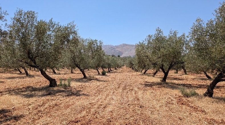 Granada - Loja - 1250000m2