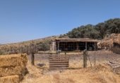 Manor house with land for sale on Camino de Loja a Algarinejo, Loja, ref: TR307917 photo