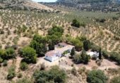 Manor house with land for sale on Camino de Loja a Algarinejo, Loja, ref: TR307917 photo