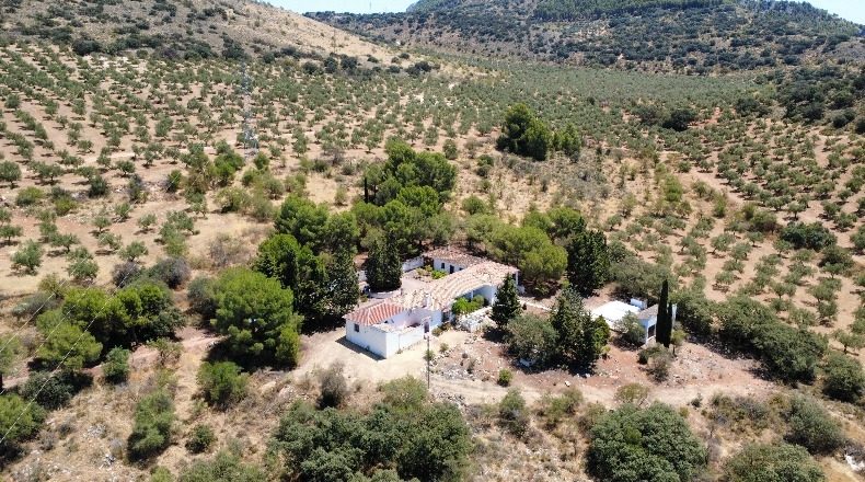 Granada - Loja - 1250000m2