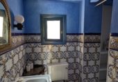 Manor house with land for sale on Camino de Loja a Algarinejo, Loja, ref: TR307917 photo