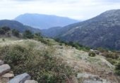 Land with ruins for sale on Pago de los Cortijos, Granada, ref: TR307975 photo
