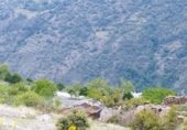 Land with ruins for sale on Pago de los Cortijos, Granada, ref: TR307975 photo