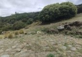 Land with ruins for sale on Pago de los Cortijos, Granada, ref: TR307975 photo