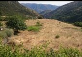 Земля на продажу у города Bubión Фото