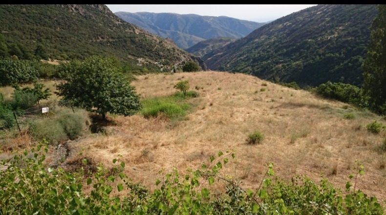 Granada - Bubión - 7362m2