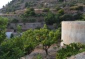 Casa de piedra con terreno en venta en la rincon nuñez, Almuñécar, ref: TR308210 foto