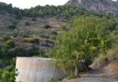 Casa de piedra con terreno en venta en la rincon nuñez, Almuñécar, ref: TR308210 foto