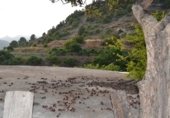 Casa de piedra con terreno en venta en la rincon nuñez, Almuñécar, ref: TR308210 foto