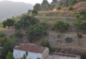 Casa de piedra con terreno en venta en la rincon nuñez, Almuñécar, ref: TR308210 foto