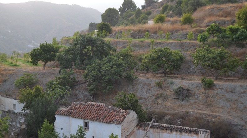Granada - Almuñécar - 2200m2