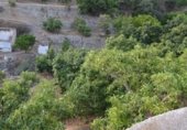 Casa de piedra con terreno en venta en la rincon nuñez, Almuñécar, ref: TR308210 foto