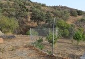 Prefabricated house with land for sale on Los Bañuelos, Almuñécar, ref: TR308749 photo