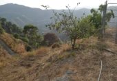 Prefabricated house with land for sale on Los Bañuelos, Almuñécar, ref: TR308749 photo