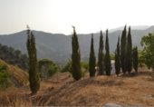 Prefabricated house with land for sale on Los Bañuelos, Almuñécar, ref: TR308749 photo