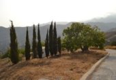 Prefabricated house with land for sale on Los Bañuelos, Almuñécar, ref: TR308749 photo