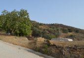 Prefabricated house with land for sale on Los Bañuelos, Almuñécar, ref: TR308749 photo