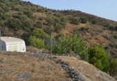 Prefabricated house with land for sale on Los Bañuelos, Almuñécar, ref: TR308749 photo