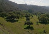 Terreno con Almacén en venta en la Calle las flores, Alhaurín el Grande, ref: TR308737 foto