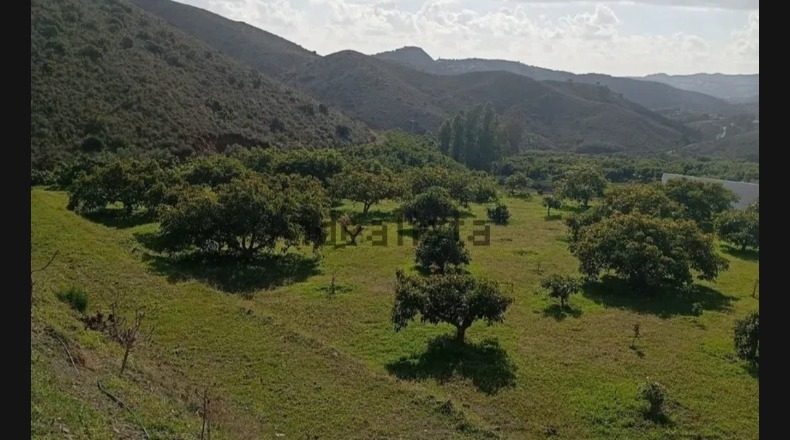 Málaga - Alhaurín el Grande - 4700m2