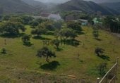 Terreno con Almacén en venta en la Calle las flores, Alhaurín el Grande, ref: TR308737 foto