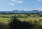 Non-developable land for rent on TV-2004, el Pla de Santa Maria, ref: TR308719 photo