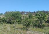 Non-developable land for rent on TV-2004, el Pla de Santa Maria, ref: TR308719 photo