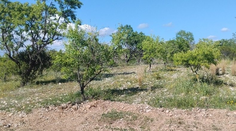 Tarragona - el Pla de Santa Maria - 30000m2