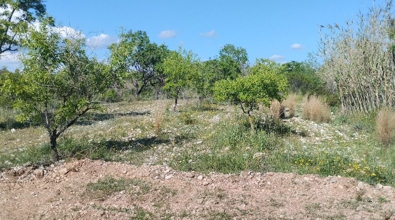 Tarragona - el Pla de Santa Maria - 30000m2