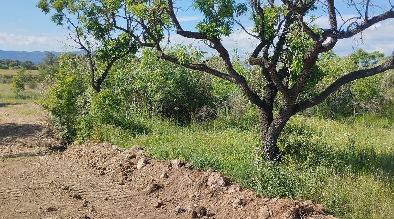 Tarragona - el Pla de Santa Maria - 30000m2