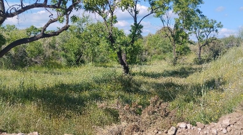 Tarragona - el Pla de Santa Maria - 30000m2