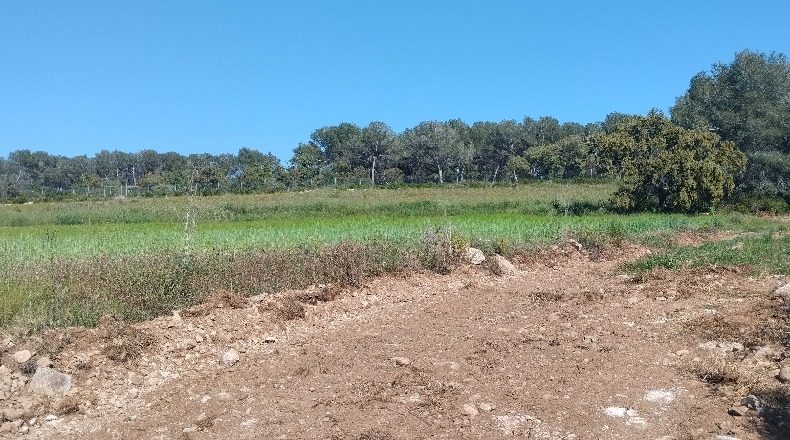 Tarragona - el Pla de Santa Maria - 30000m2
