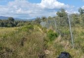 Non-developable land for rent on TV-2004, el Pla de Santa Maria, ref: TR308719 photo