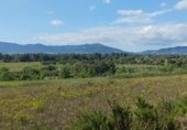 Non-developable land for rent on TV-2004, el Pla de Santa Maria, ref: TR308719 photo