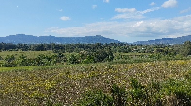 Tarragona - el Pla de Santa Maria - 30000m2