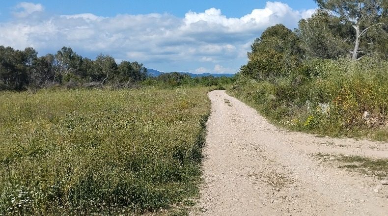 Tarragona - el Pla de Santa Maria - 30000m2