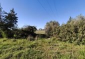 Parcel·la urbanitzable en venda a la Barri Can Ramon, Santa Eulària des Riu, ref.: TR314848 foto