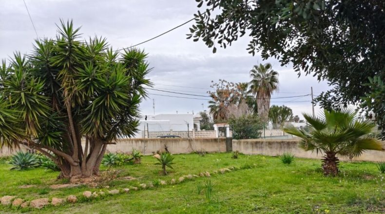Islas Baleares - sa Carroca - 1640m2