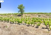 Non-developable land for sale on N-232, San Asensio, ref: TR321233 photo