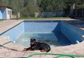Villa with land for sale on CAMÍ VELL DE BENIGÀNIM, El Genovés, ref: TR321232 photo
