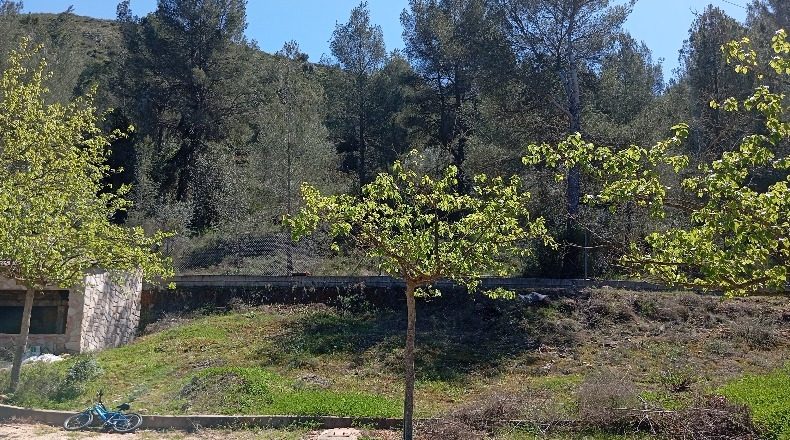 Valencia - el Genovés - 12000m2