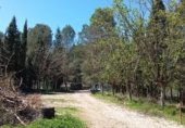 Villa with land for sale on CAMÍ VELL DE BENIGÀNIM, El Genovés, ref: TR321232 photo