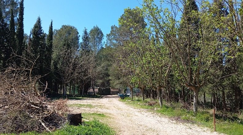 Valencia - el Genovés - 12000m2