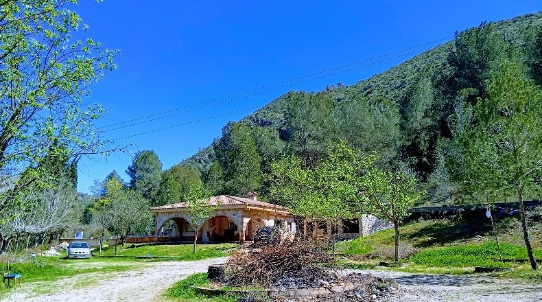 Valencia - el Genovés - 12000m2