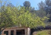 Villa with land for sale on CAMÍ VELL DE BENIGÀNIM, El Genovés, ref: TR321232 photo