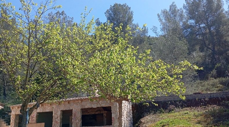 Valencia - el Genovés - 12000m2