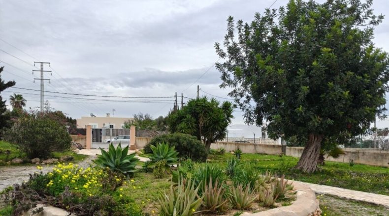 Islas Baleares - sa Carroca - 1640m2