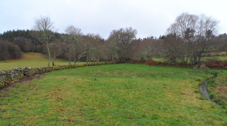 Lugo - O Albeiro - 3838m2