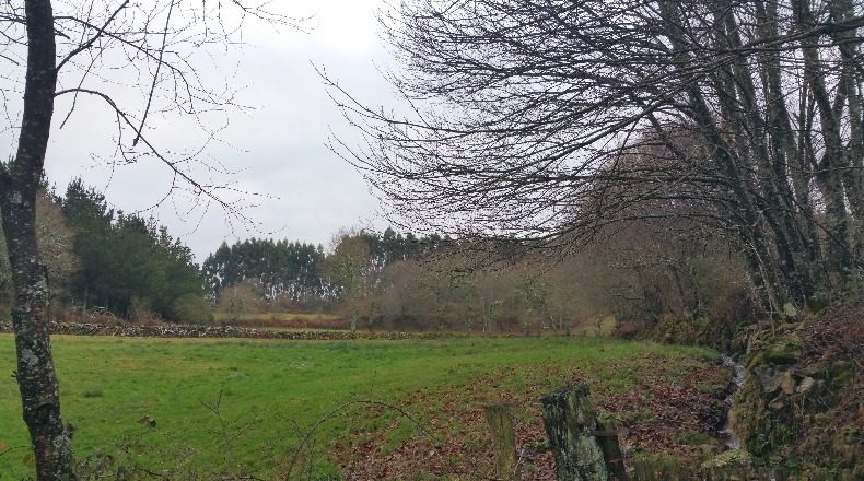 Lugo - O Albeiro - 3838m2